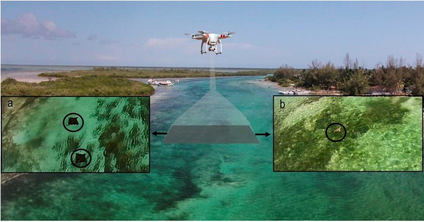 Environmental Drone Monitoring