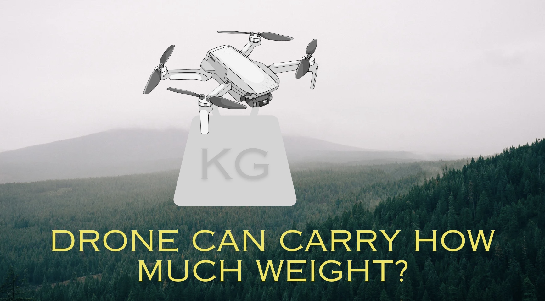 Read more about the article Drone Can Carry How Much Weight? Exploring the Carrying Capacities of Popular Drones